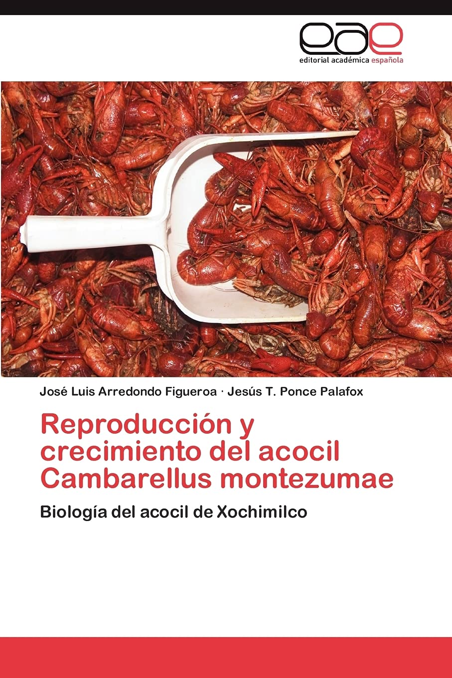 Reproduccin y crecimiento del acocil Cambarellus montezumae: Biologa del acocil de Xochimilco (Spanish Edition),Used