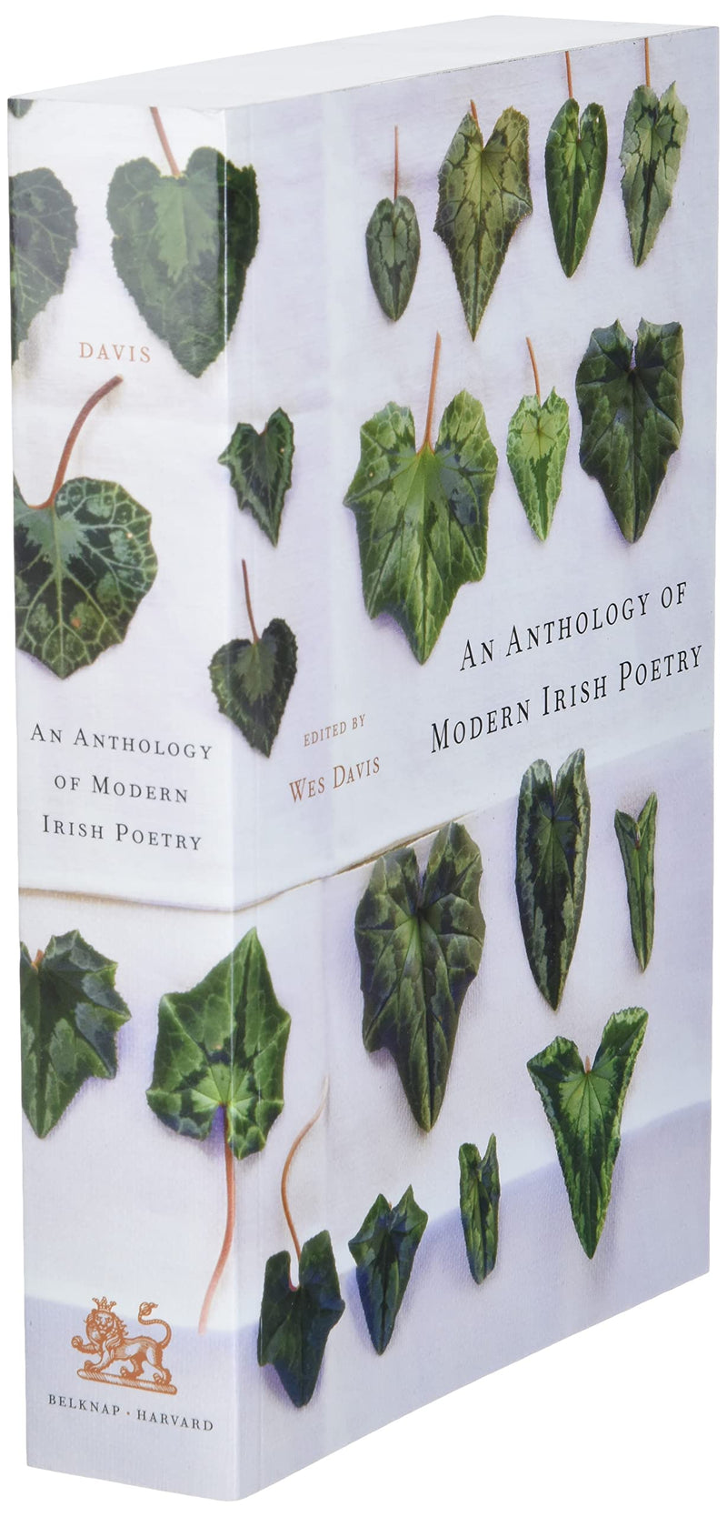 An Anthology of Modern Irish Poetry,Used