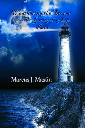 Weathering The Storm: The Journey Of My Life, Part I,Used