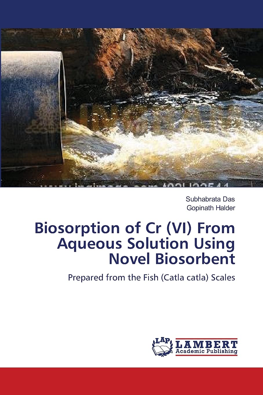 Biosorption of Cr (VI) From Aqueous Solution Using Novel Biosorbent: Prepared from the Fish (Catla catla) Scales,Used