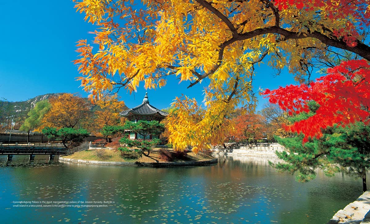 Beauty Of Korea,Used