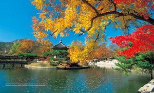 Beauty Of Korea,Used