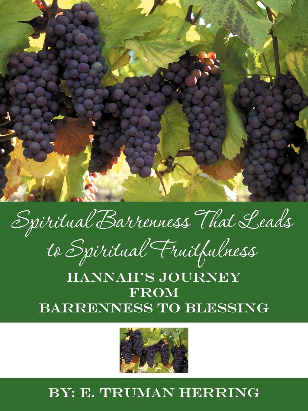 Spiritual Barrenness That Leads To Spiritual Fruitfulness: Hannah'S Journey From Barrenness To Blessing,Used