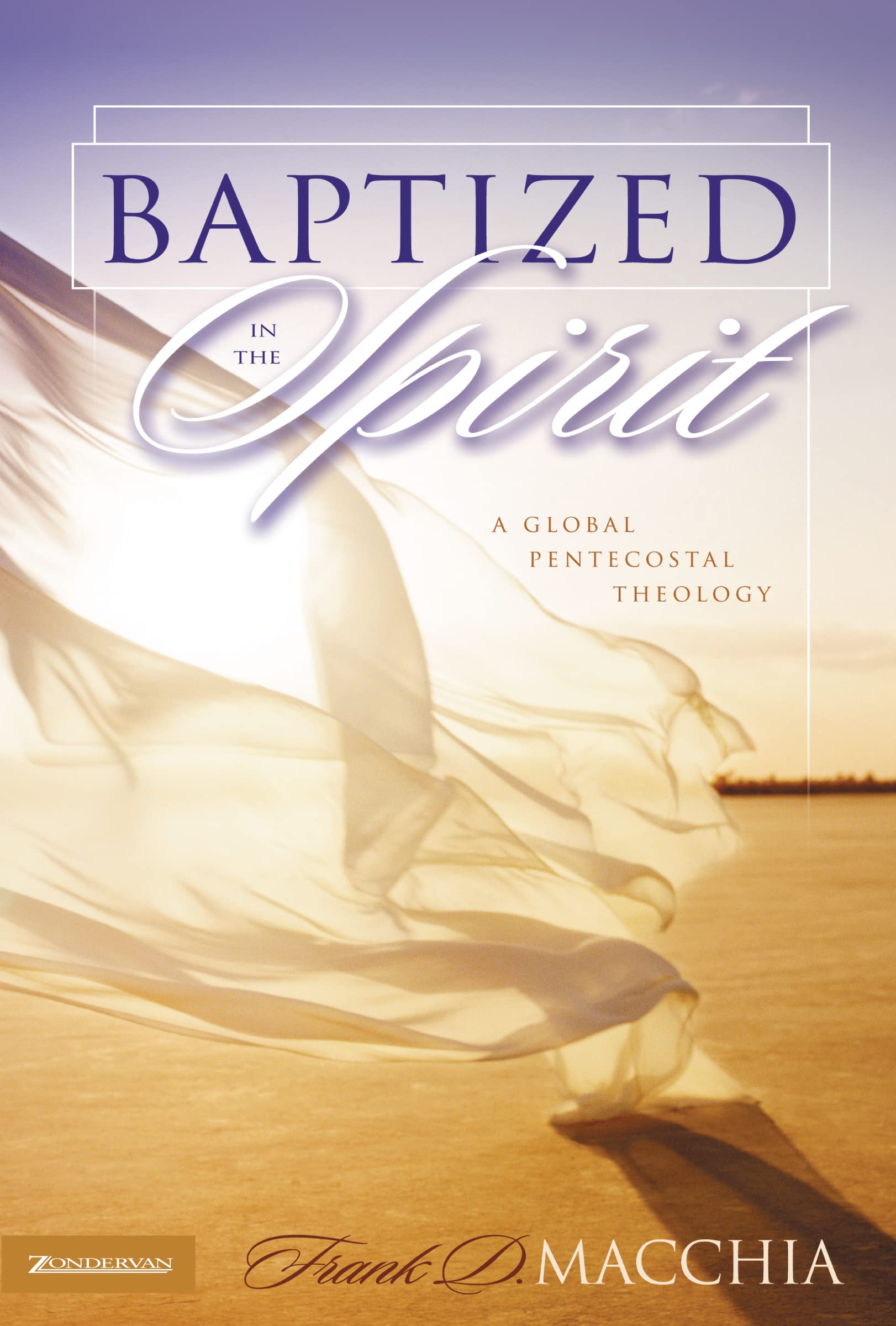 Baptized in the Spirit: A Global Pentecostal Theology,Used