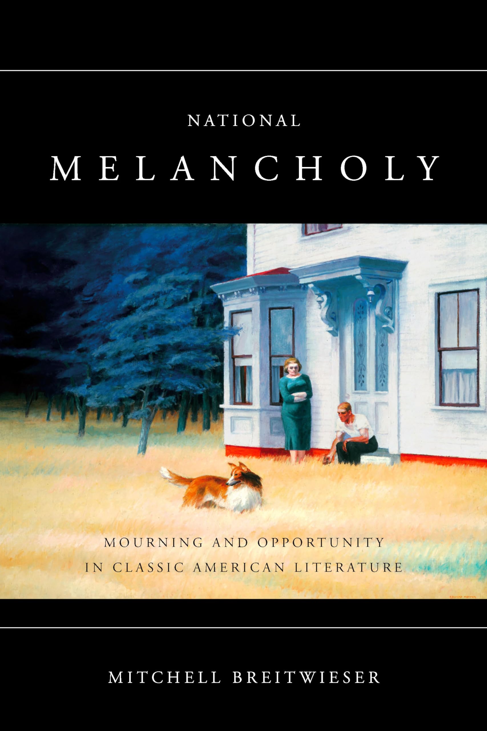 National Melancholy: Mourning And Opportunity In Classic American Literature,Used