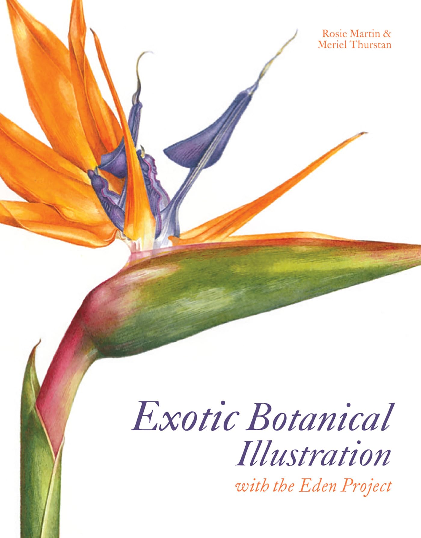 Exotic Botanical Illustration: With The Eden Project,Used