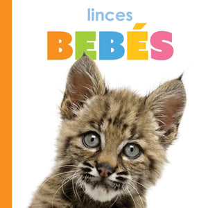 Linces Bebs (Spanish Edition)