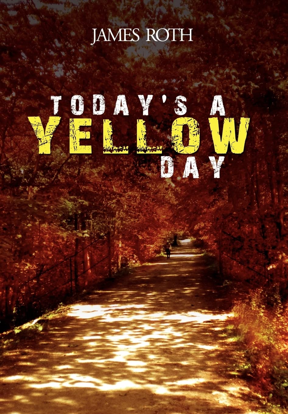 Today'S A Yellow Day,Used