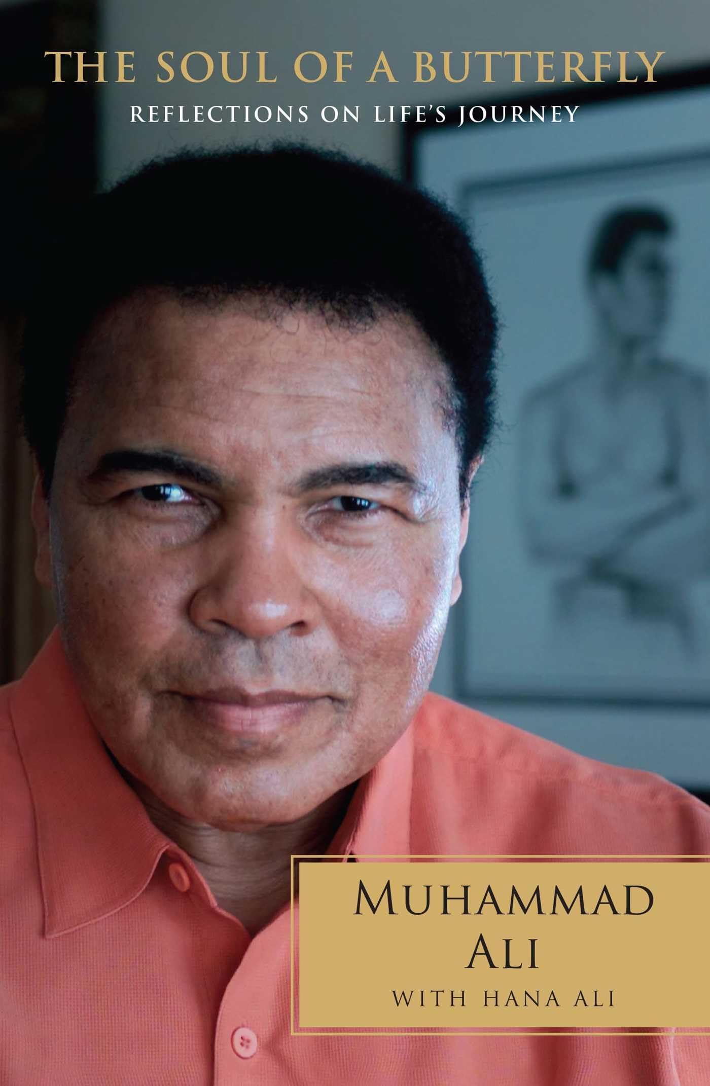 The Soul of a Butterfly: Reflections on Life's Journey,New