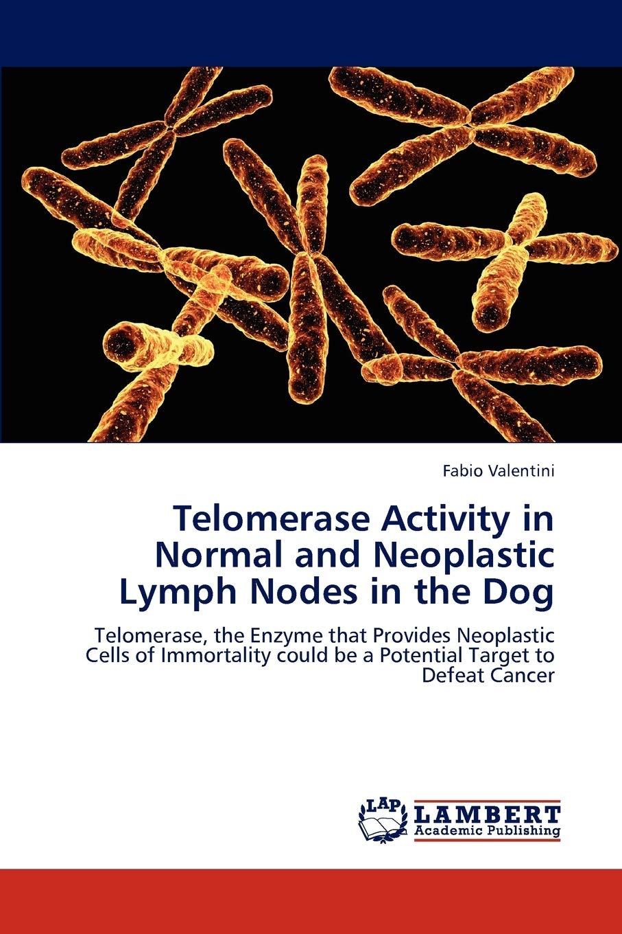 Telomerase Activity in Normal and Neoplastic Lymph Nodes in the Dog: Telomerase, the Enzyme that Provides Neoplastic Cells of Im,Used