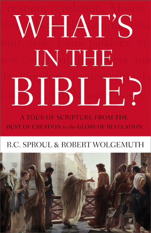What's In the Bible: A Tour of Scripture from the Dust of Creation to the Glory of Revelation,New