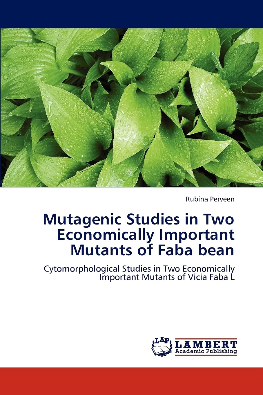 Mutagenic Studies in Two Economically Important Mutants of Faba bean: Cytomorphological Studies in Two Economically Important Mu,Used