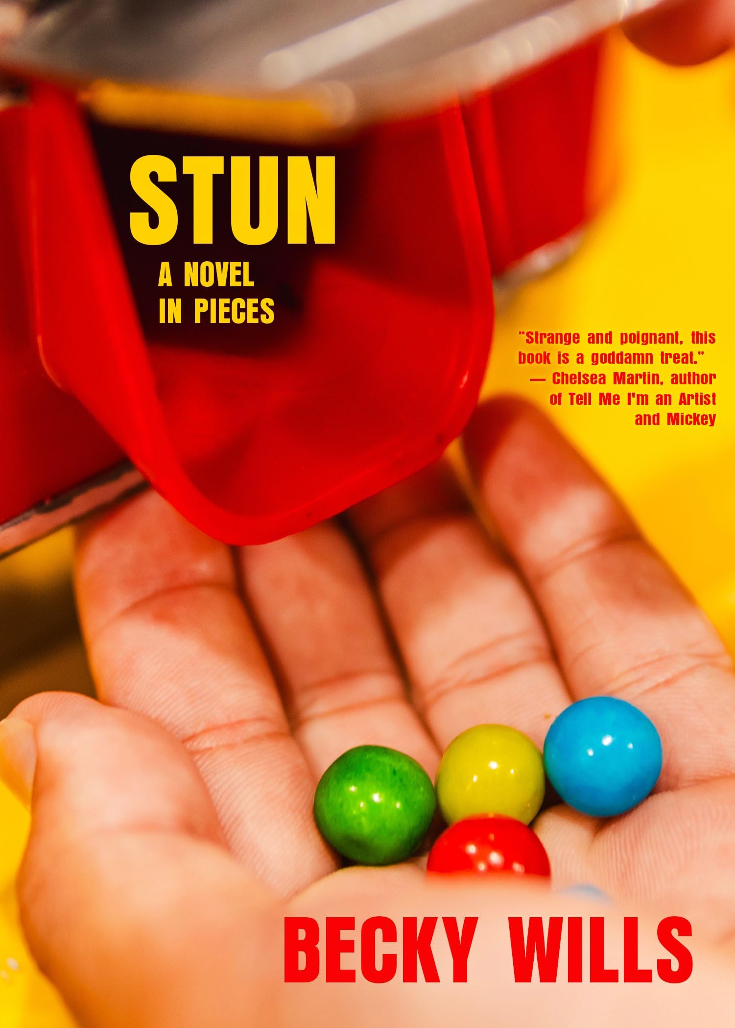 Stun: A Novel In Pieces