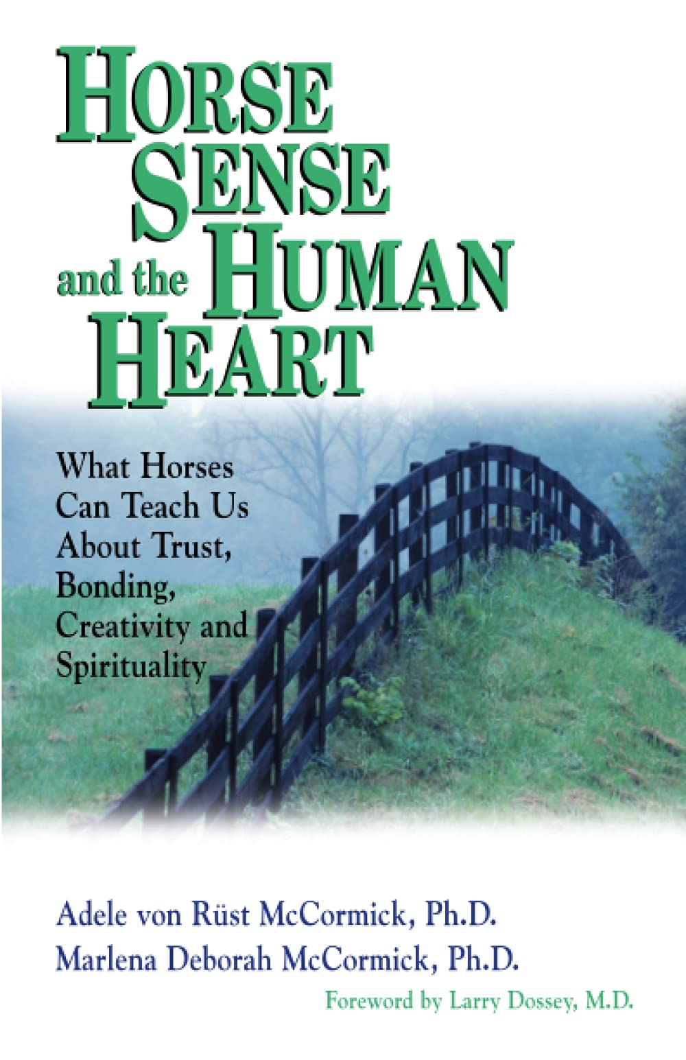 Horse Sense And The Human Heart: What Horses Can Teach Us About Trust, Bonding, Creativity And Spirituality