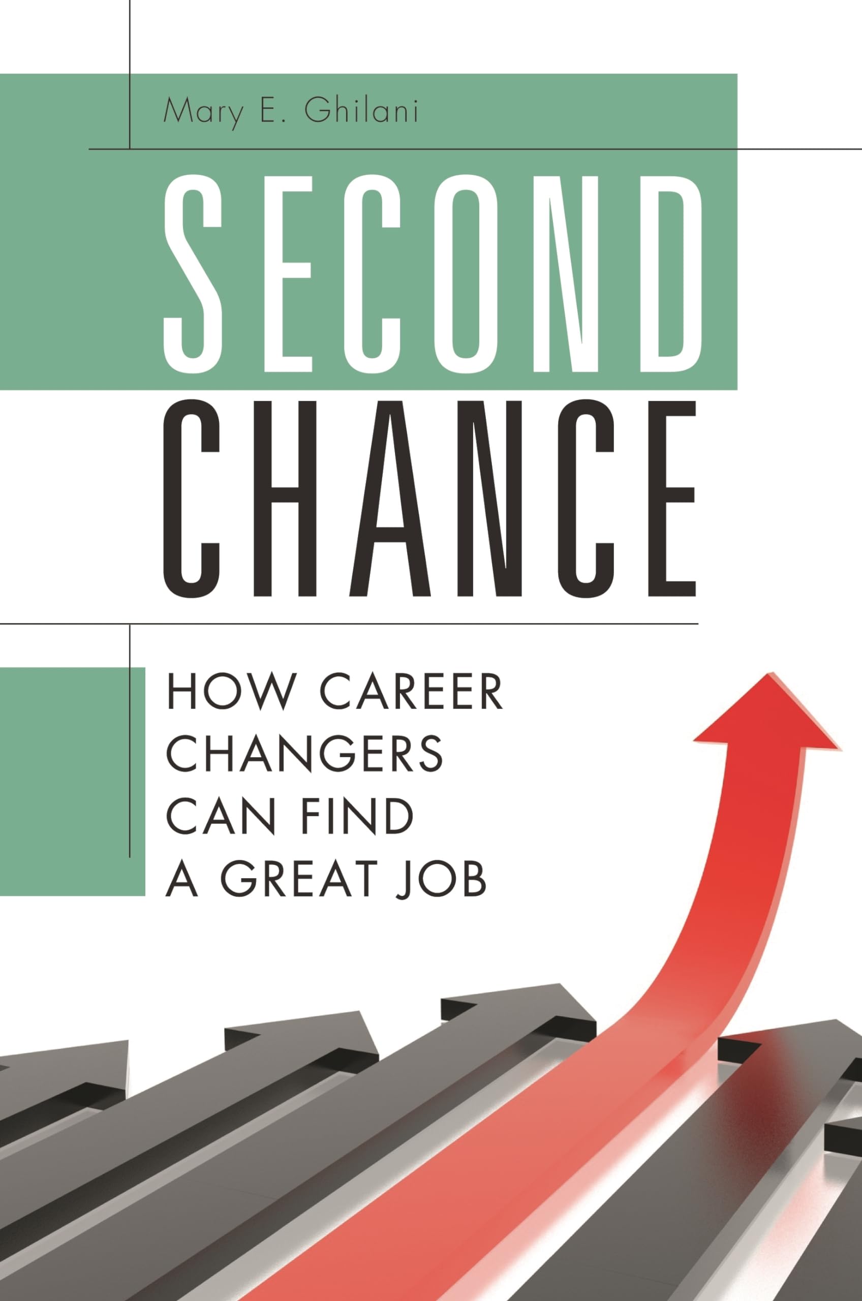 Second Chance: How Career Changers Can Find a Great Job,Used