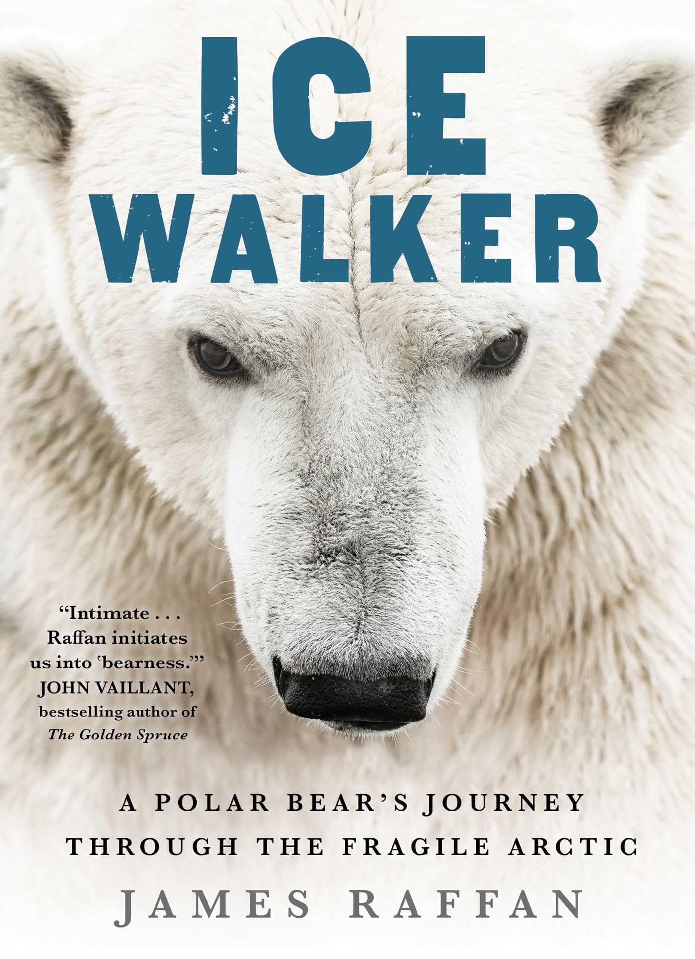 Ice Walker: A Polar Bear's Journey through the Fragile Arctic,Used