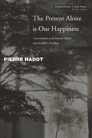 The Present Alone Is Our Happiness: Conversations With Jeannie Carlier And Arnold I. Davidson (Cultural Memory In The Present),Used