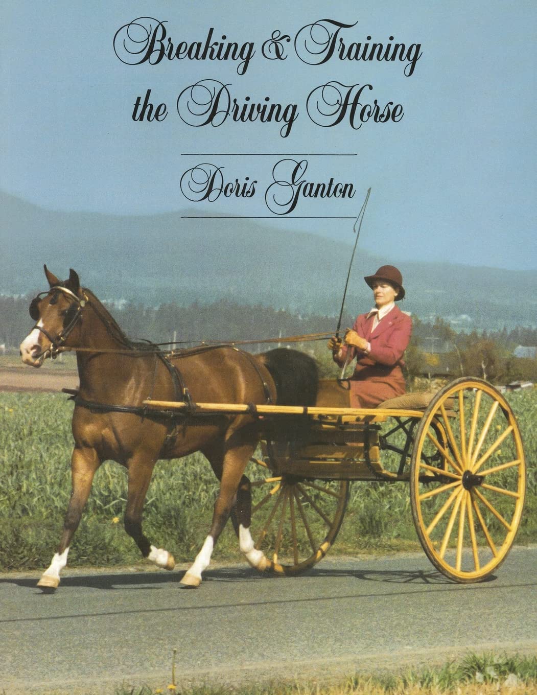 Breaking and Training the Driving Horse: A Detailed and Comprehensive Study,Used