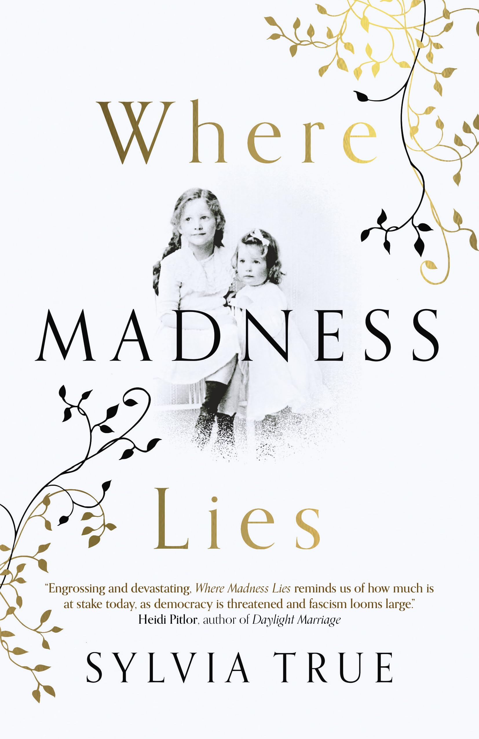 Where Madness Lies: A Novel,Used
