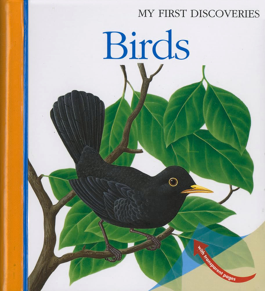 Birds (15) (My First Discoveries),Used