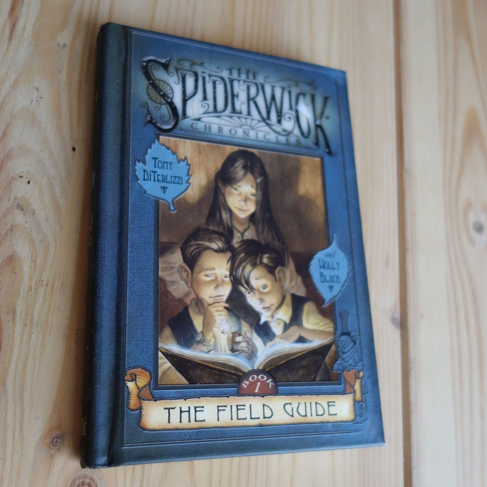 The Field Guide (Spiderwick Chronicles, 1),Used