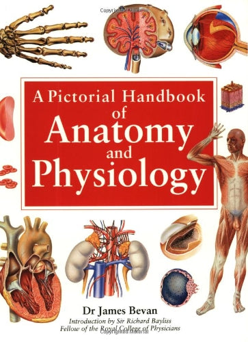 A Pictorial Handbook of Anatomy & Physiology,Used