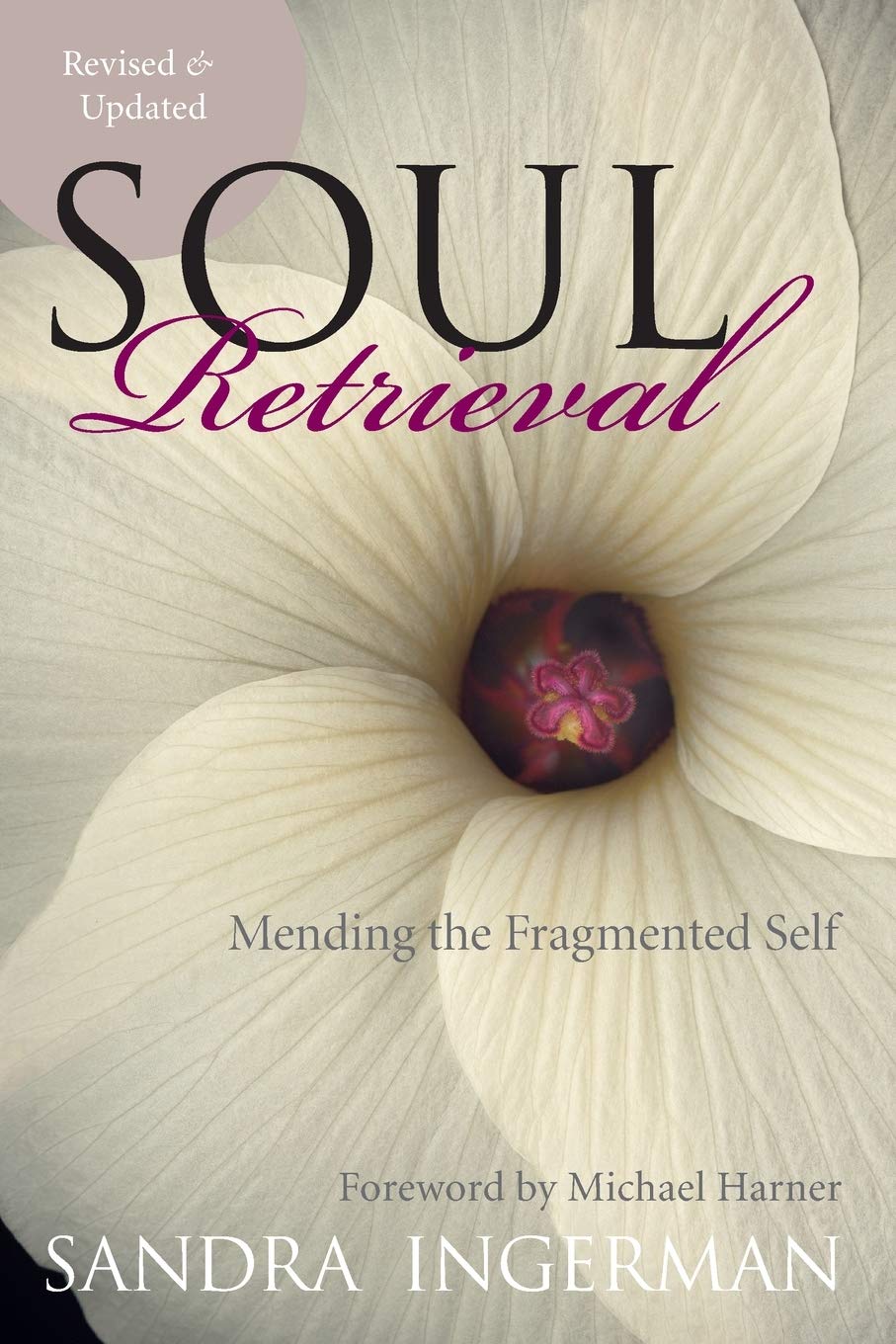 Soul Retrieval: Mending The Fragmented Self,New