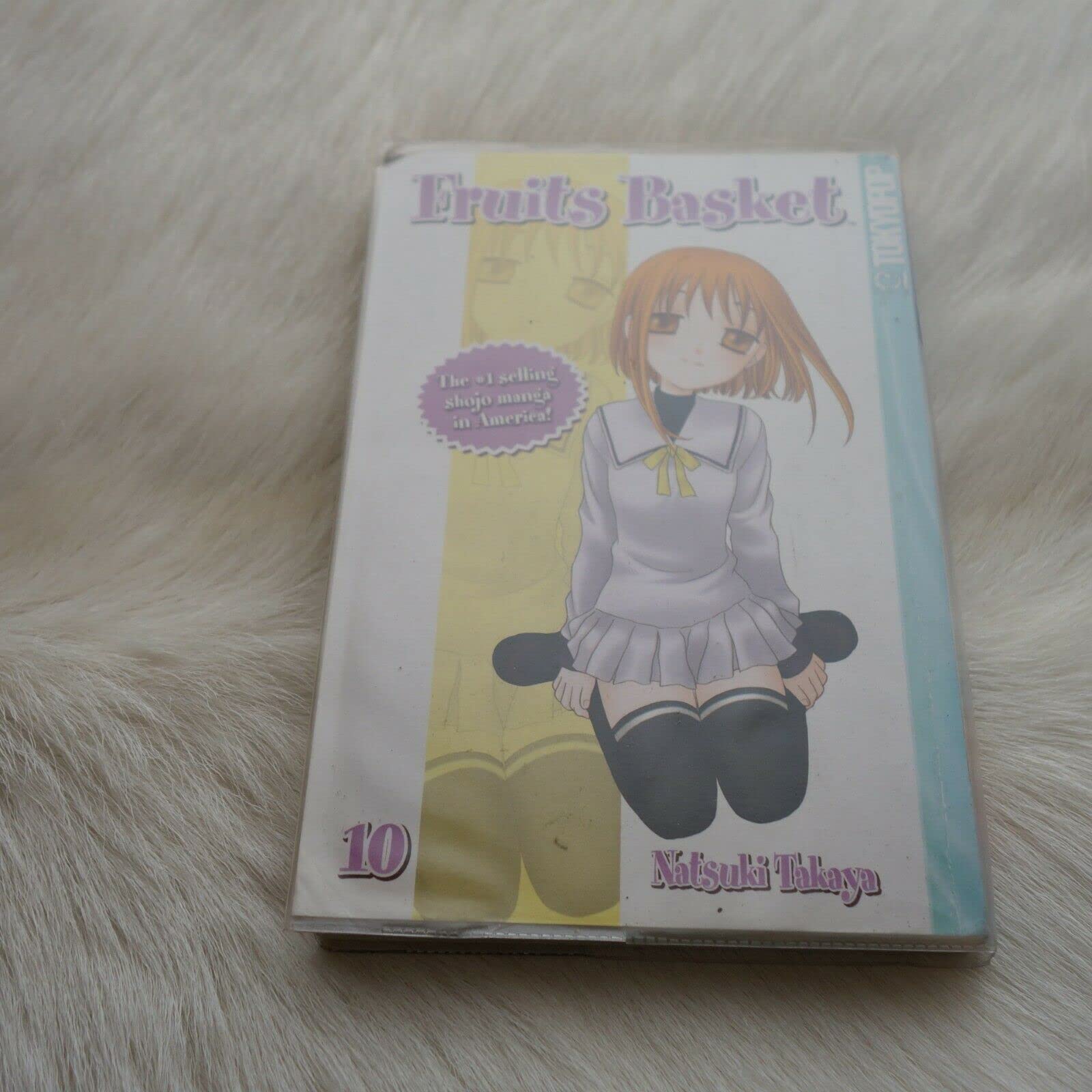 Fruits Basket, Vol. 10,Used