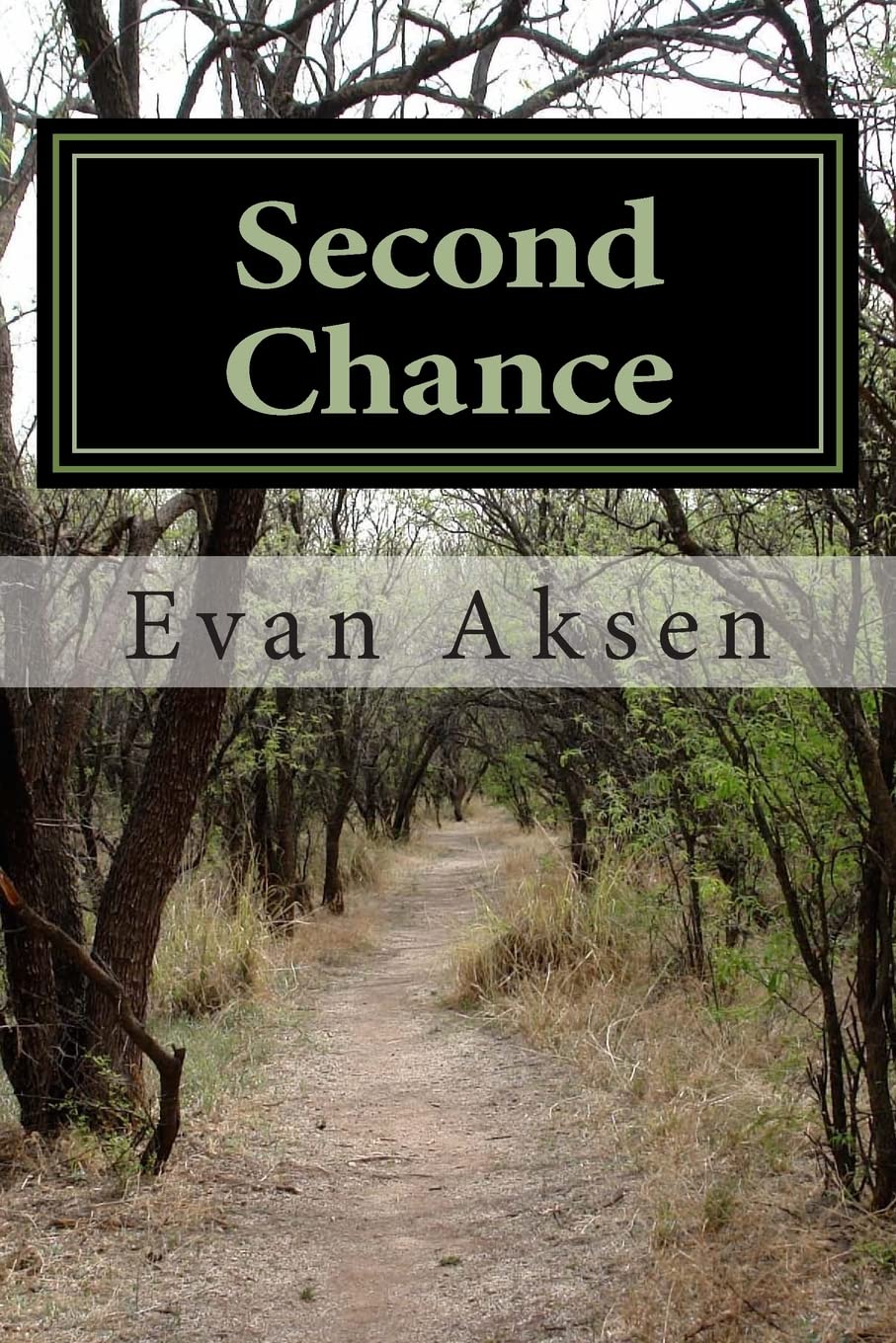 Second Chance: Dreams Come True >In A Second Lifetime,Used