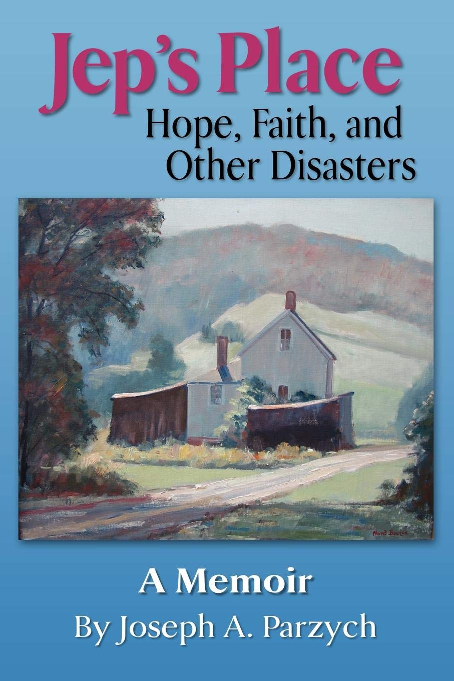 Jep's Place: Hope, Faith And Other Disasters,Used