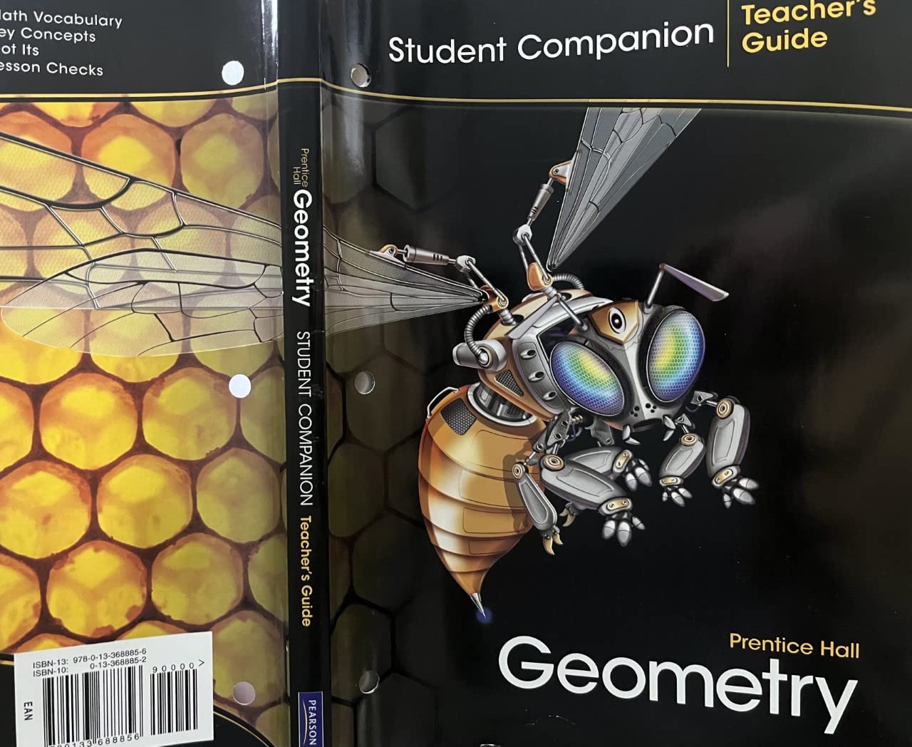 TEACHERS GUIDE: STUDENT COMPANION GEOMETRY,Used