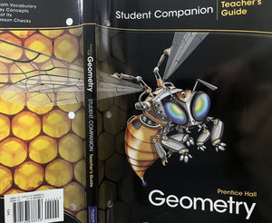 TEACHERS GUIDE: STUDENT COMPANION GEOMETRY,Used