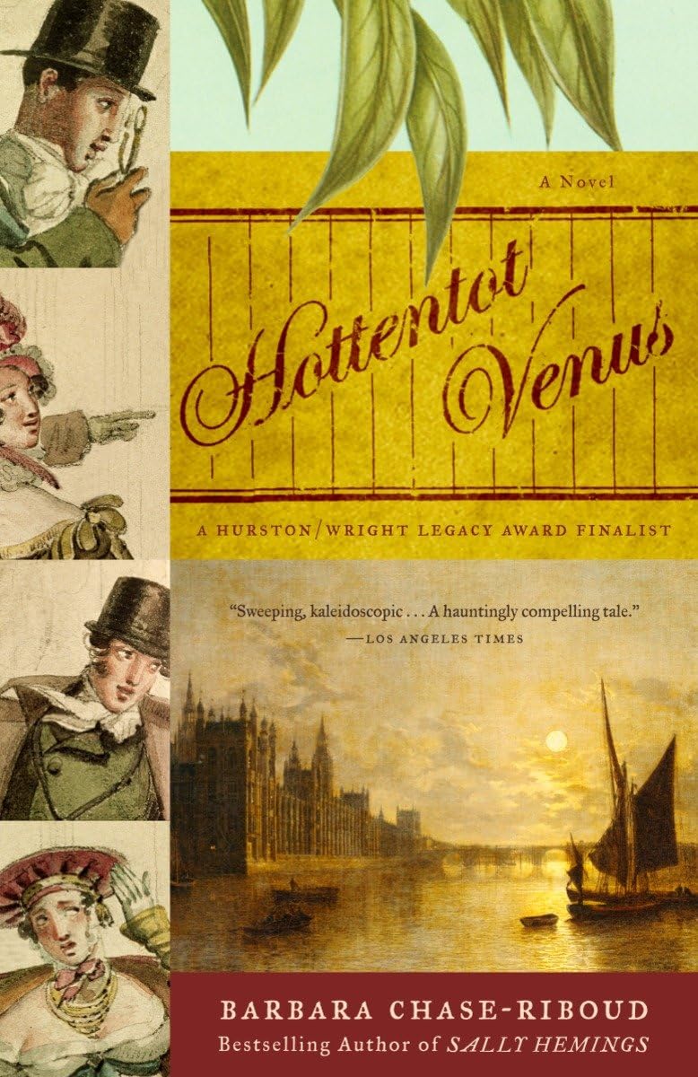 Hottentot Venus: A Novel,Used