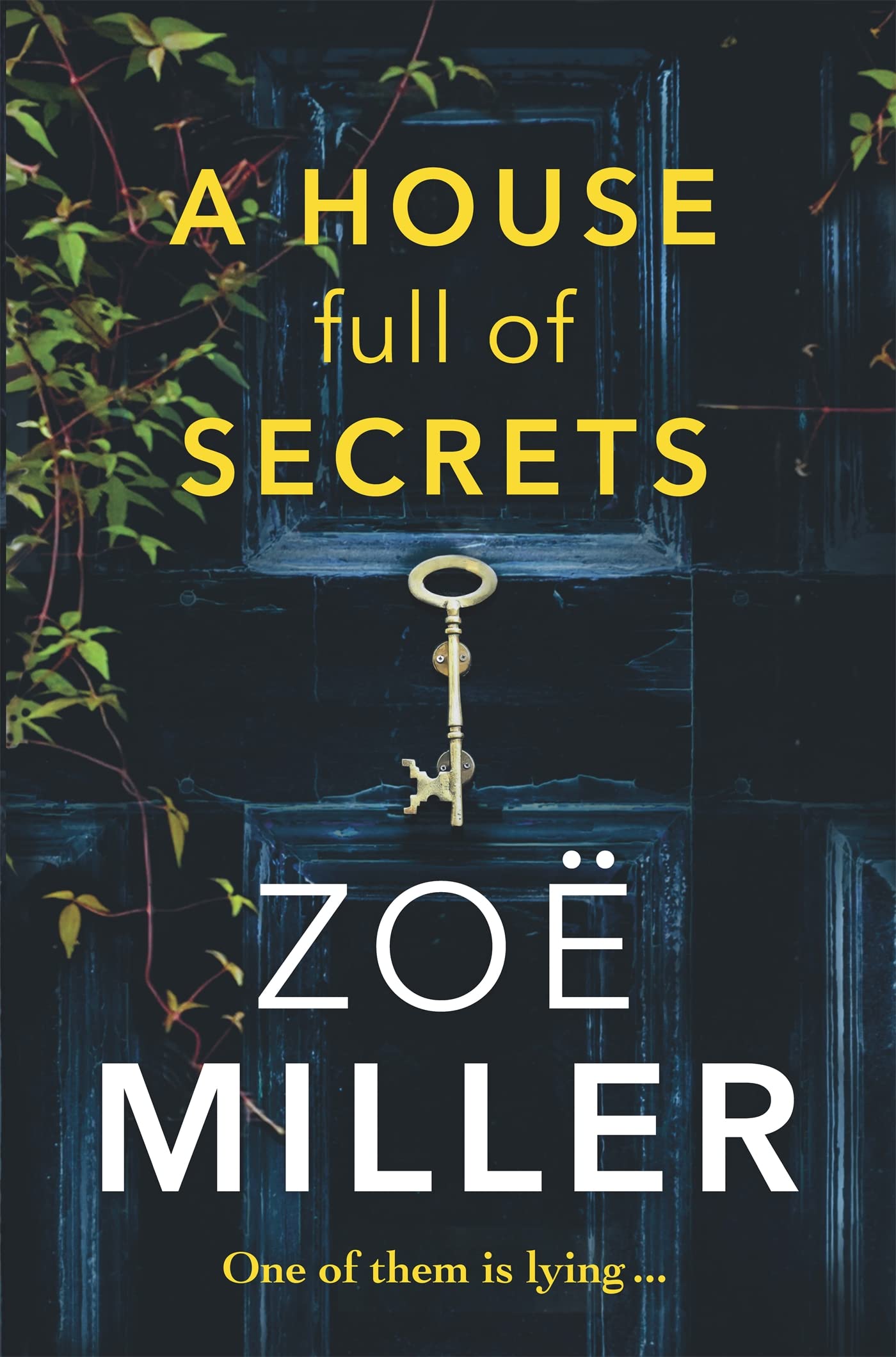 A House Full Of Secrets: All She Sees Is The Perfect Man, But What Is He Hiding?