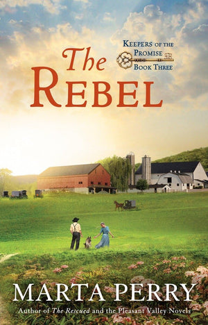 The Rebel (Keepers of the Promise),Used