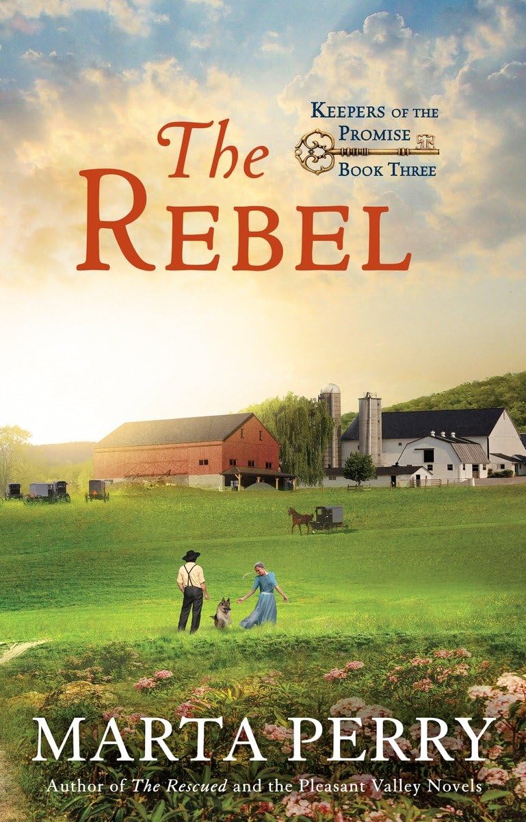 The Rebel (Keepers of the Promise),Used