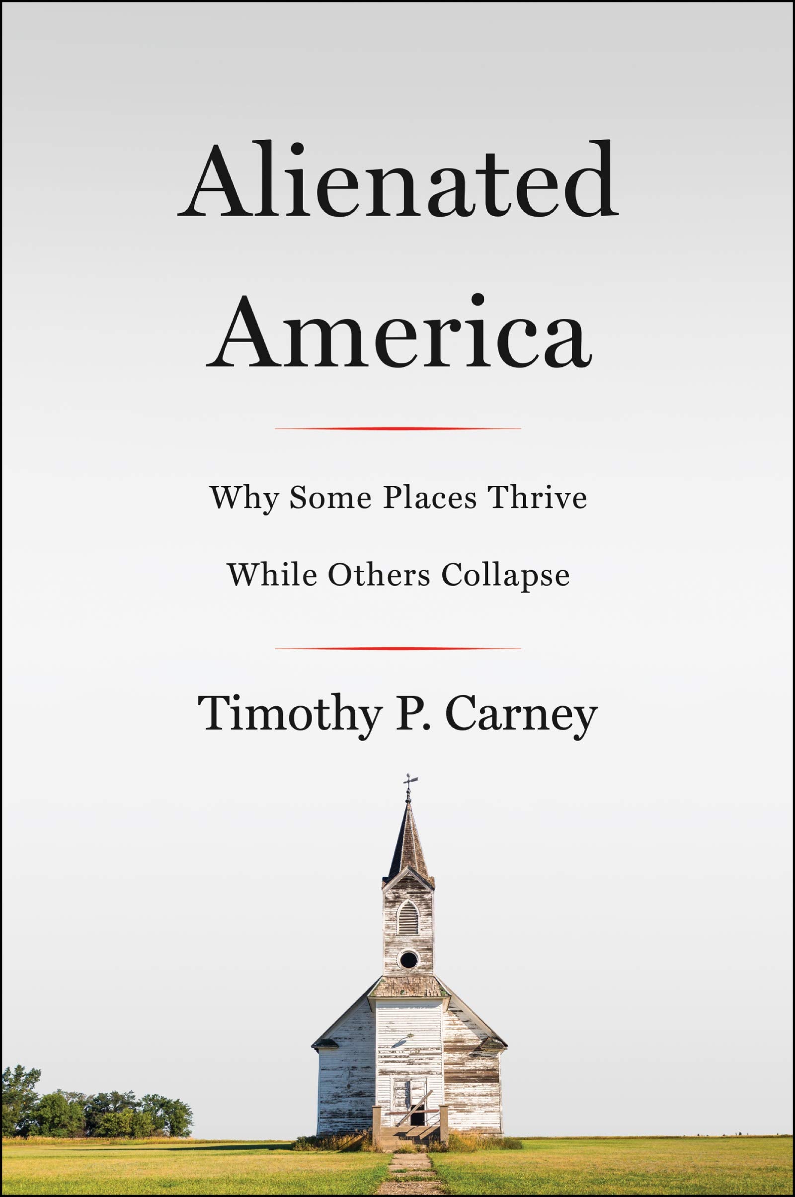 ALIENATED AMER,Used