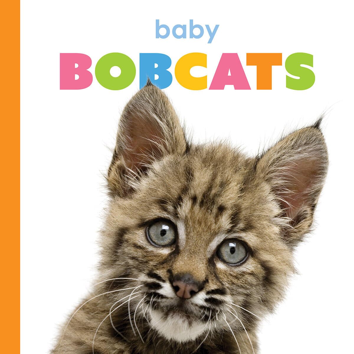 Baby Bobcats (Starting Out)