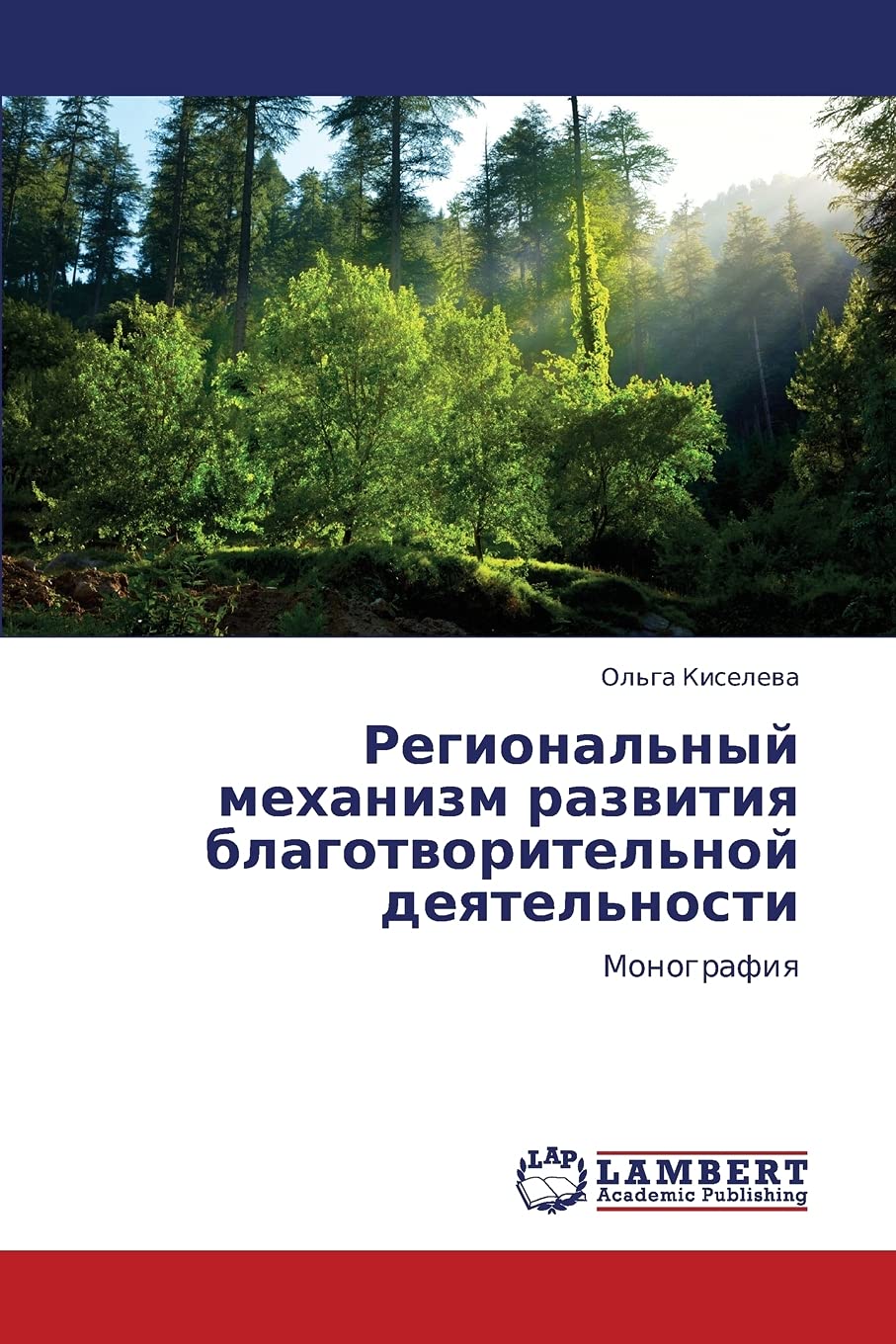 Regional'nyy mekhanizm razvitiya blagotvoritel'noy deyatel'nosti: Monografiya (Russian Edition),Used