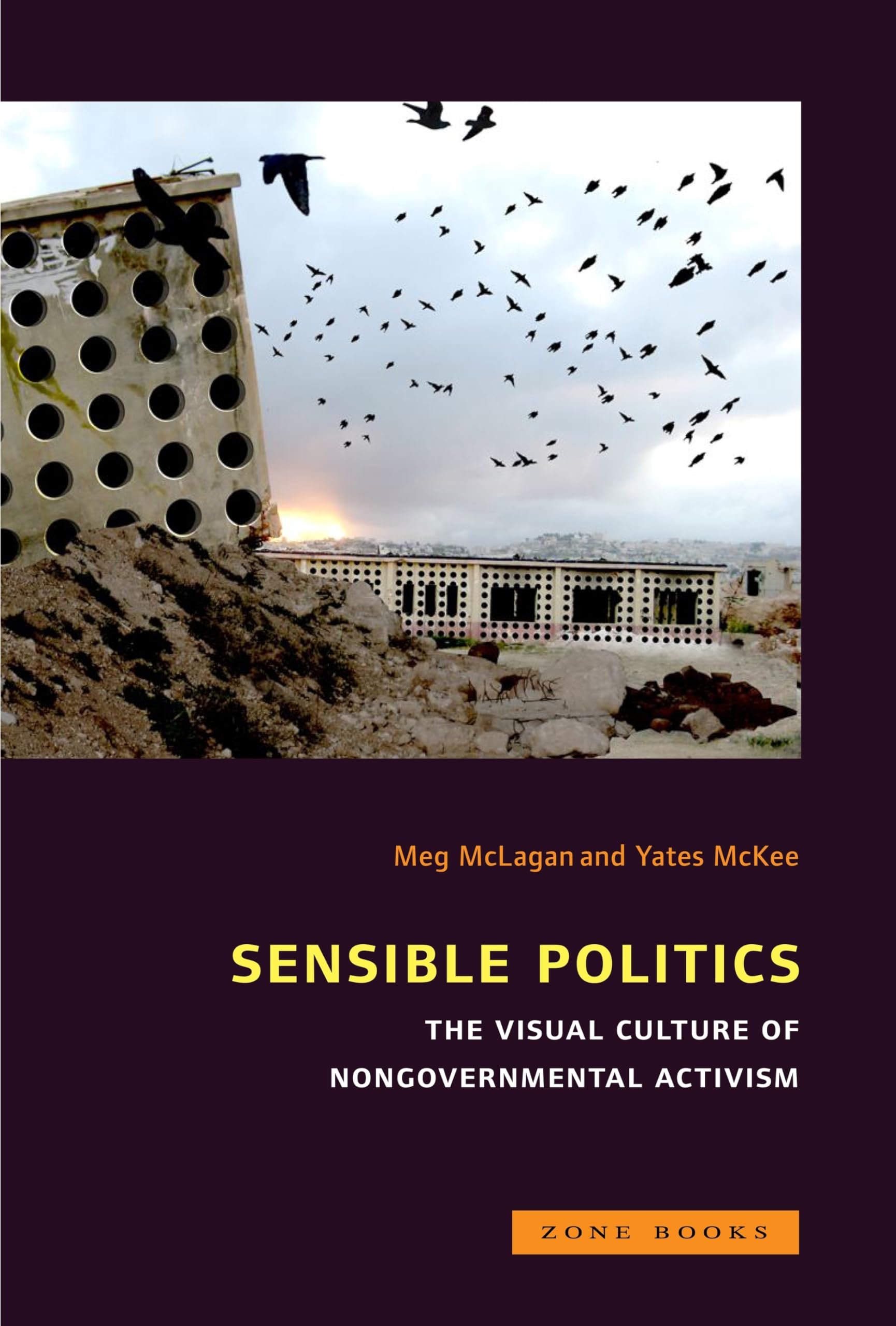 Sensible Politics: The Visual Culture of Nongovernmental Politics (Mit Press),Used