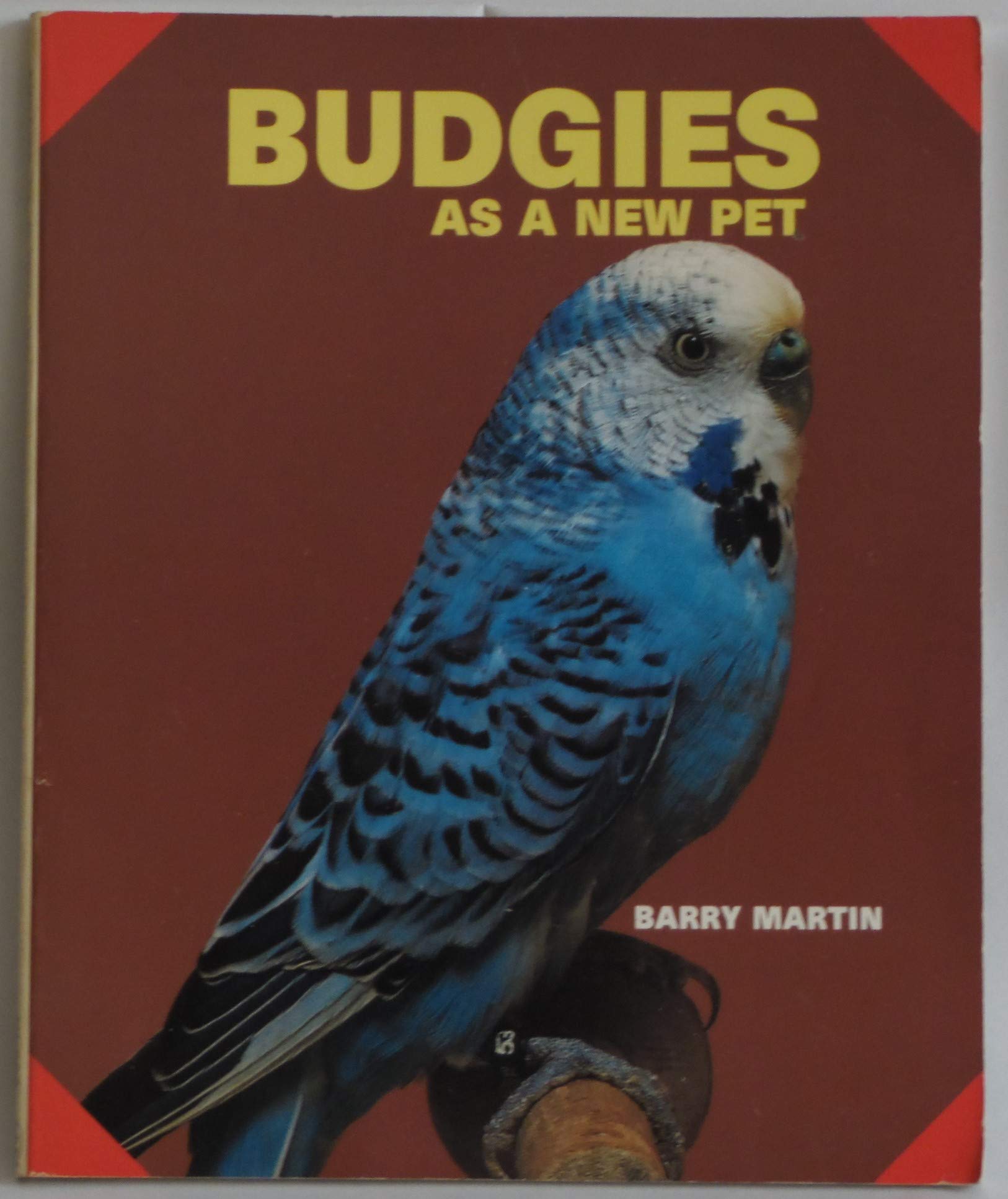 Budgies As a New Pet,Used