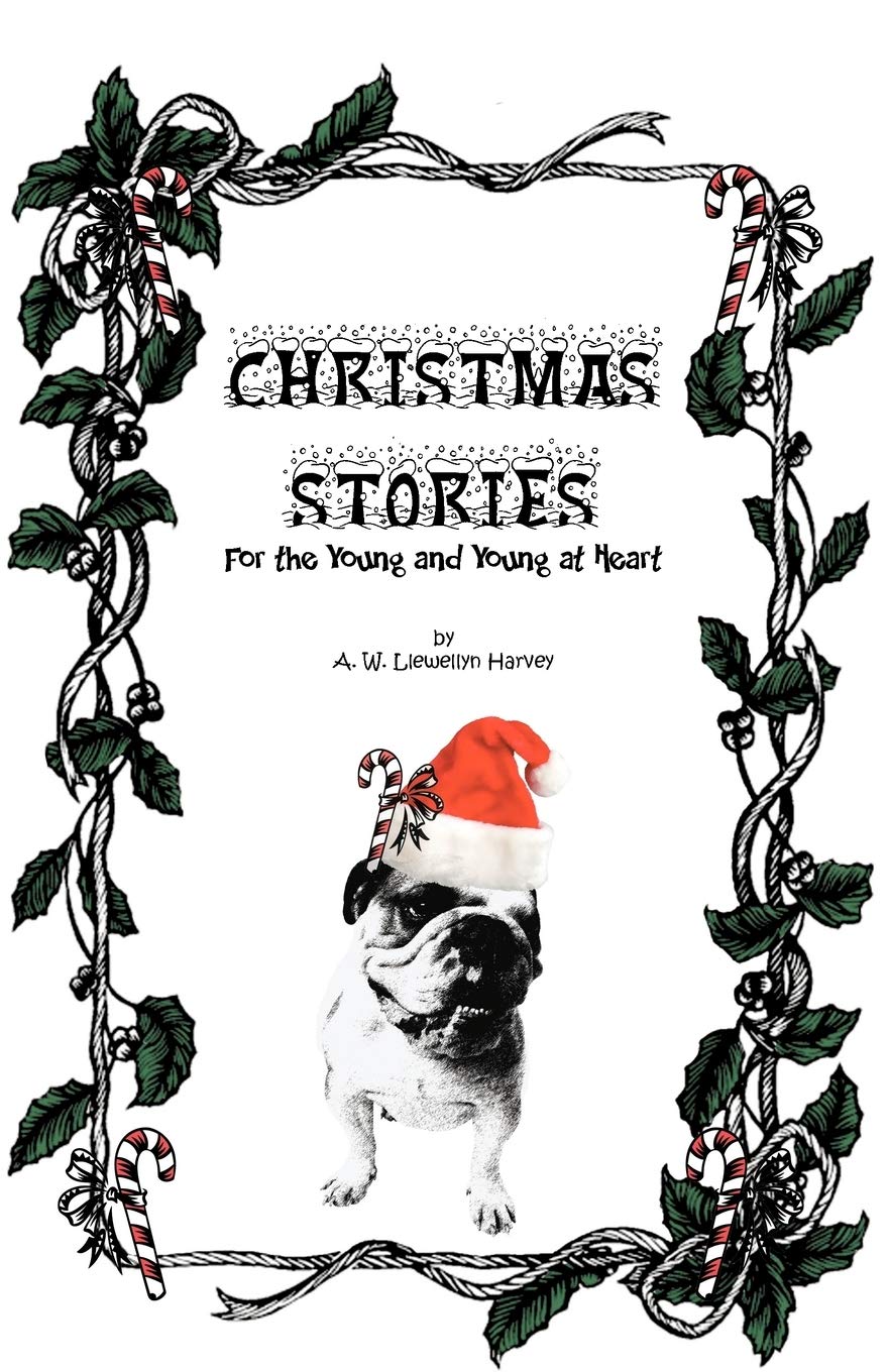 Christmas Stories: For The Young And Young At Heart,New
