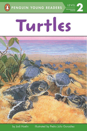Turtles,Used