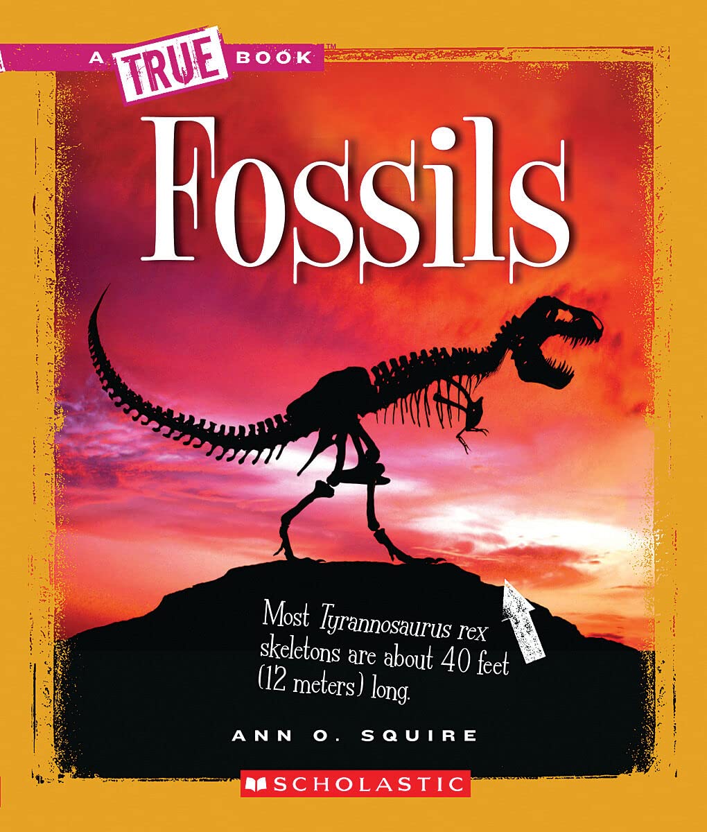 Fossils (A True Book: Earth Science) (A True Book (Relaunch)),Used