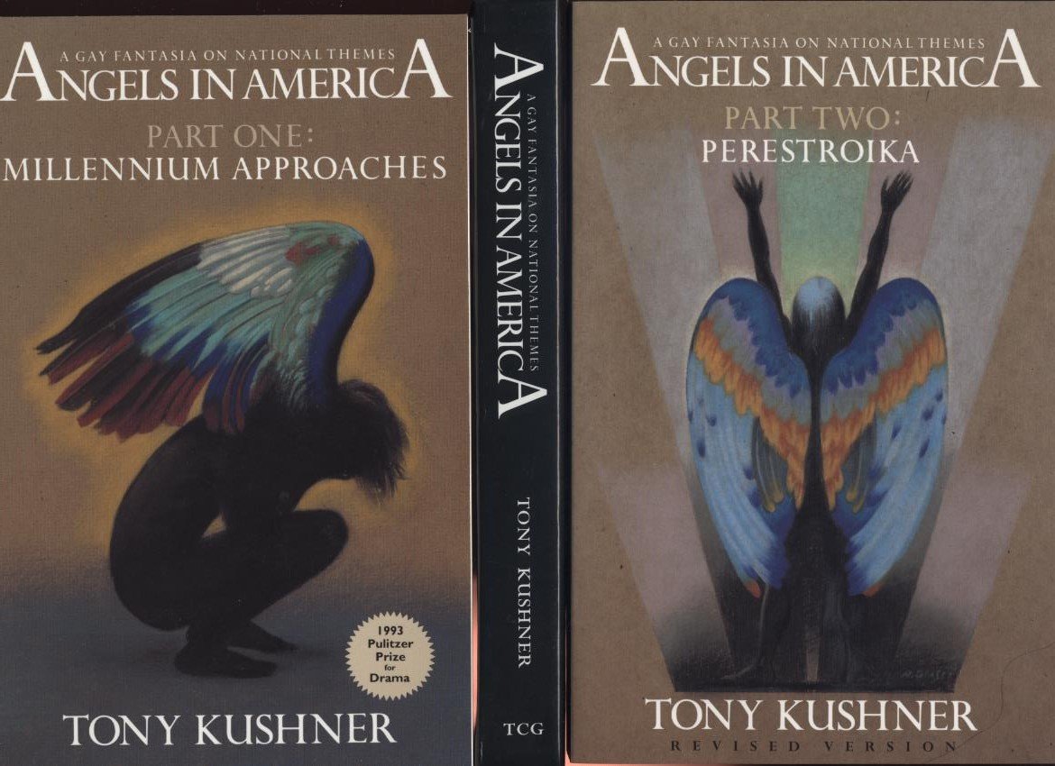 Angels in America Boxed Set: A Gay Fantasia on National Themes,Used