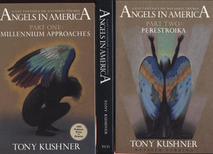 Angels in America Boxed Set: A Gay Fantasia on National Themes,Used