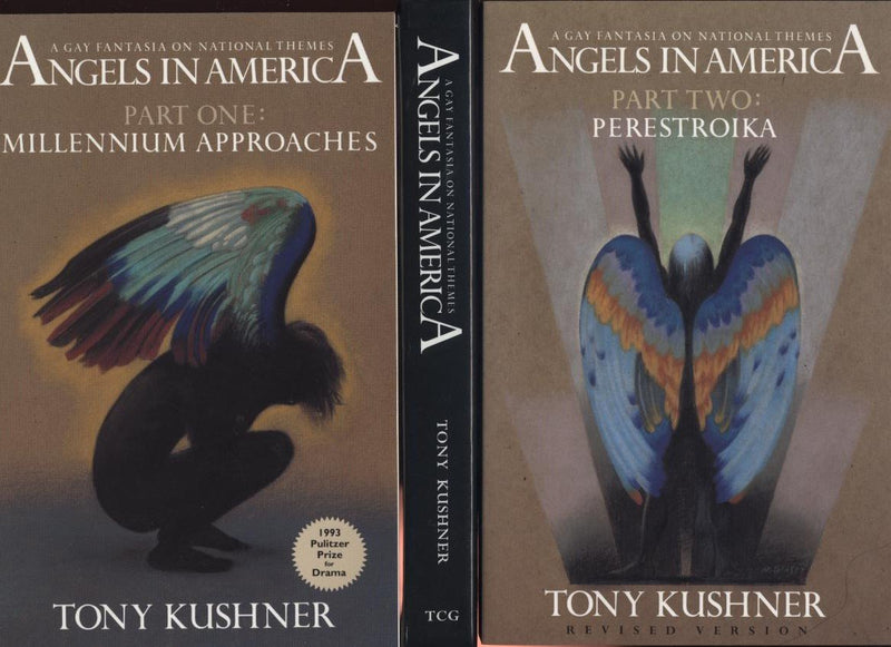 Angels in America Boxed Set: A Gay Fantasia on National Themes,Used