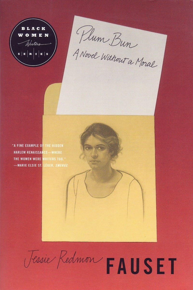 Plum Bun: A Novel Without a Moral,Used