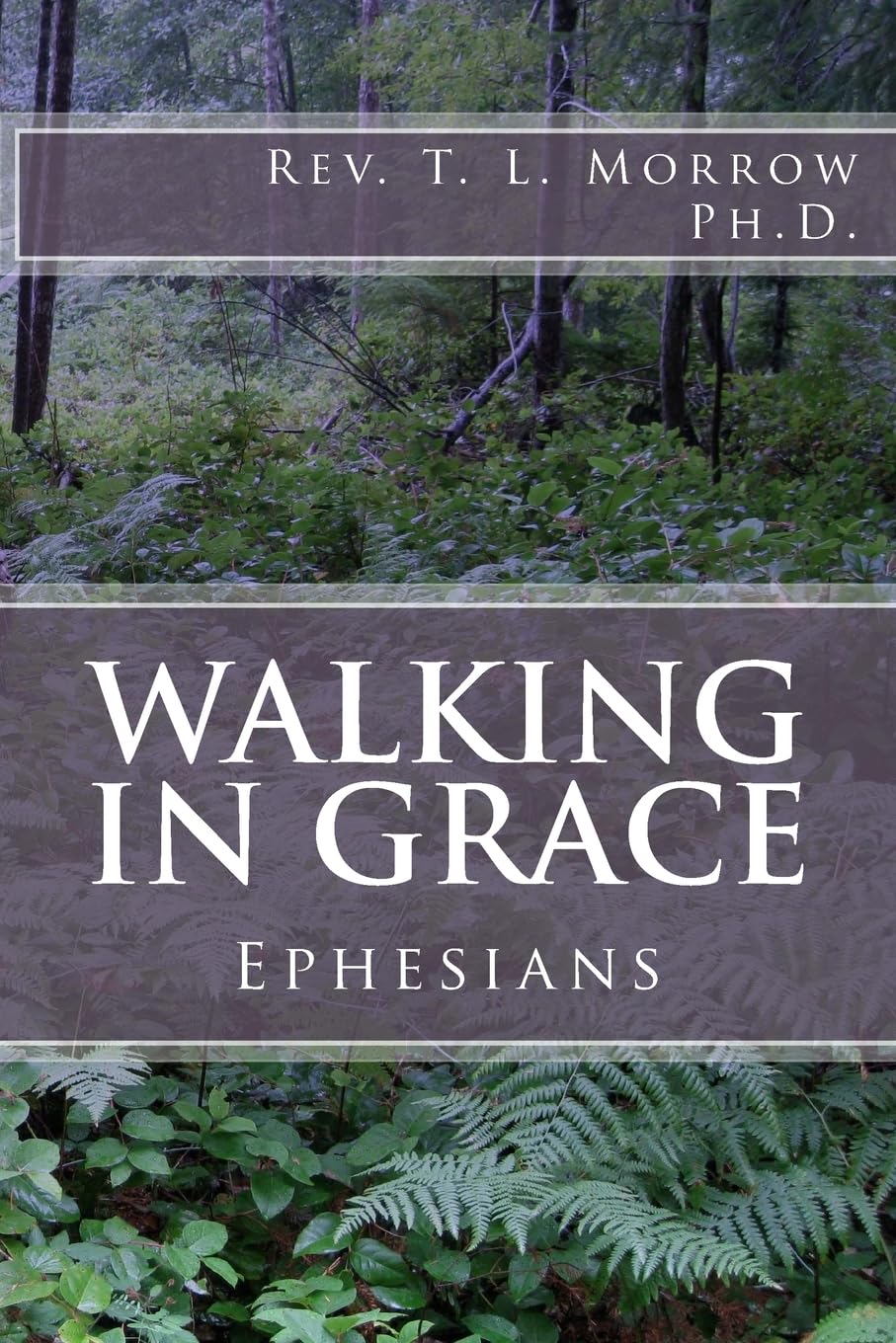 Walking in Grace: A study of the book of Ephesians,Used