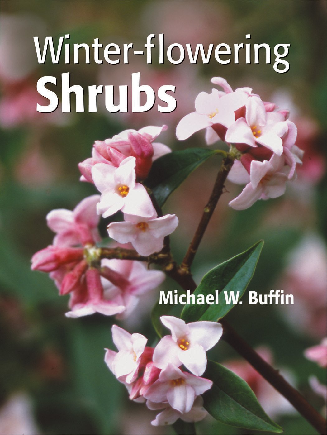 Winterflowering Shrubs,New